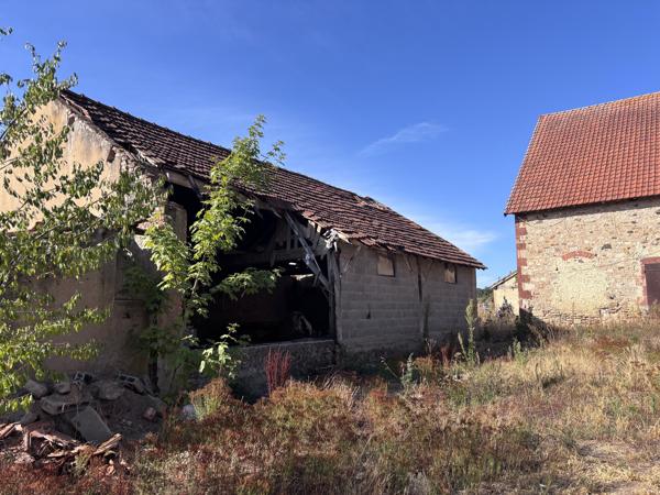 Le Donjon - Ferme à rénover avec une grande grange et des dépendances, sur un terrain de plus de 3 hectares co Le Donjon (03130)