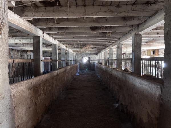 Le Donjon - Ferme à rénover avec une grande grange et des dépendances, sur un terrain de plus de 3 hectares co Le Donjon (03130)