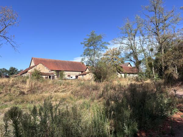 Le Donjon - Ferme à rénover avec une grande grange et des dépendances, sur un terrain de plus de 3 hectares co Le Donjon (03130)
