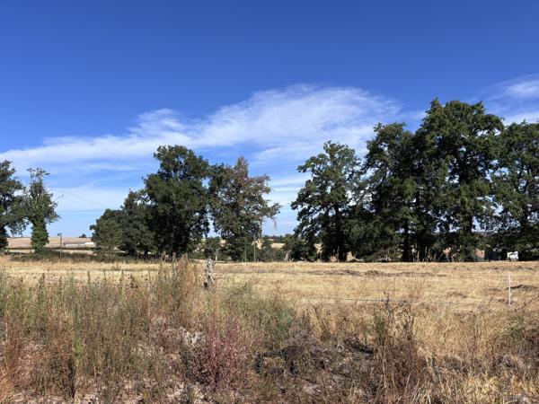 Le Donjon - Ferme à rénover avec une grande grange et des dépendances, sur un terrain de plus de 3 hectares co Le Donjon (03130)