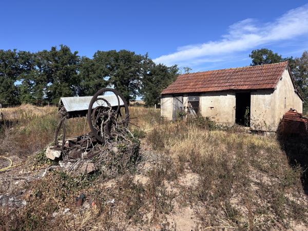 Le Donjon - Ferme à rénover avec une grande grange et des dépendances, sur un terrain de plus de 3 hectares co Le Donjon (03130)