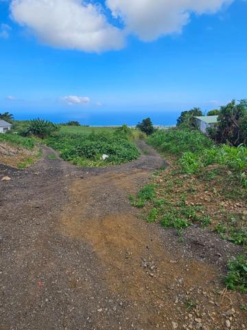 Terrain à vendre TAN ROUGE (974)