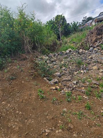 Terrain à vendre TAN ROUGE (974)