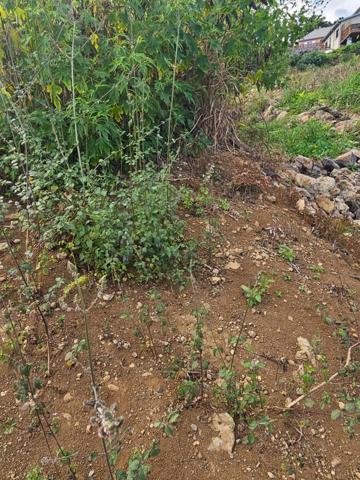 Terrain à vendre TAN ROUGE (974)