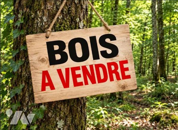 PONTIVY (56) Parcelle boisée de 1Ha 88a 35ca