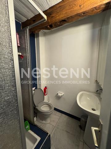 Ensemble immobilier avec une maison principale et un logement locatif à vendre à Moustoir-Remungol