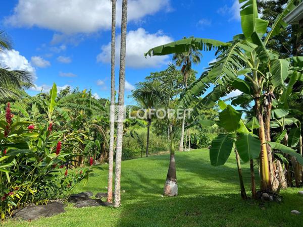 Achat maison Lamentin - 9 pièce(s) - 232 m² - 1 260 000 €
