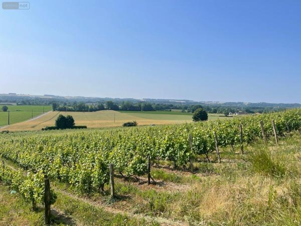 Maison à vendre à Loir en Vallée dans la Sarthe (72340), ref : 13816/1141   
CAMPAGNE PROCHE DES VIGNES