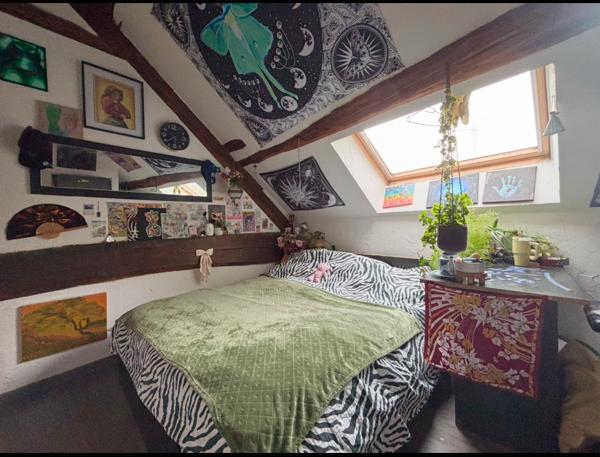 Coulommiers (77120) Superbe maison briarde 4 chambres, 128 m² - 1800m²