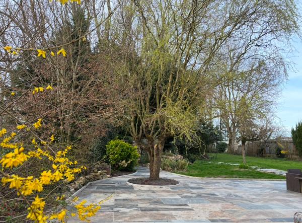 Coulommiers (77120) Superbe maison briarde 4 chambres, 128 m² - 1800m²