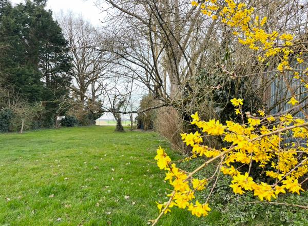 Coulommiers (77120) Superbe maison briarde 4 chambres, 128 m² - 1800m²