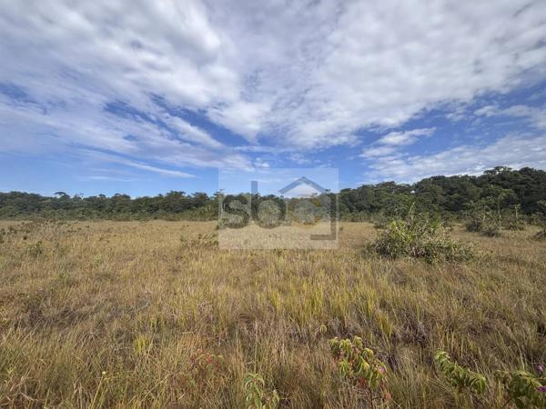 Terrain agricole de 4,18 ha à Montsinéry-Tonnegrande