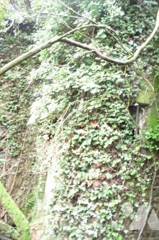 A vendre à Gorron(53), un bien à rénover comprenant une ancienne boucherie et la partie habitat...