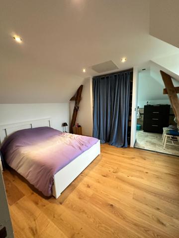 Belle maison en bord de loire avec troglodyte aménagé