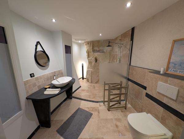 Belle maison en bord de loire avec troglodyte aménagé