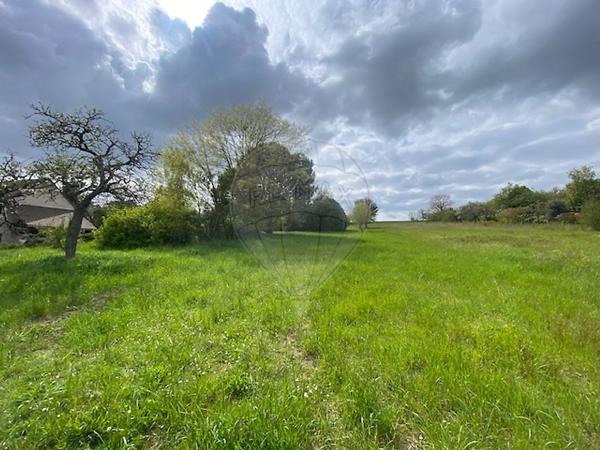Terrain  en vente - Yonne - 89
