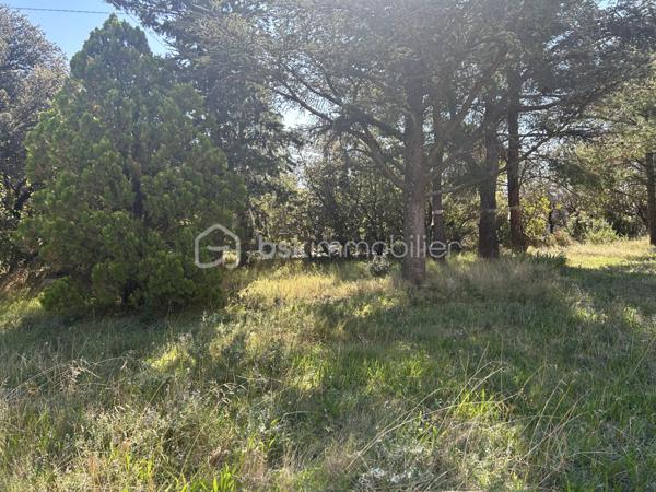 Terrain de 1 350 m²