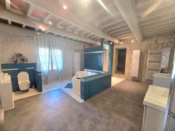 Vedène (84270) Propriété d'exception proche Avignon.