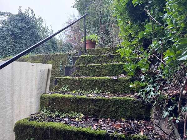 MAISON DE 143 m2 SUR JARDIN , Bourg MAISON DE 143 m2 SUR JARDIN , Bourg