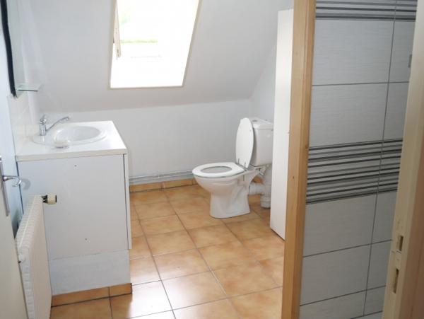 Location Appartement rénové 5 pièces Sainte-Marie-aux-Mines (68160)