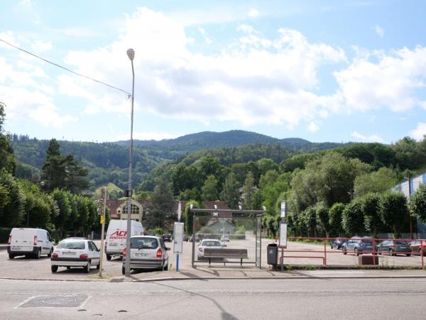Location Appartement rénové 5 pièces Sainte-Marie-aux-Mines (68160)