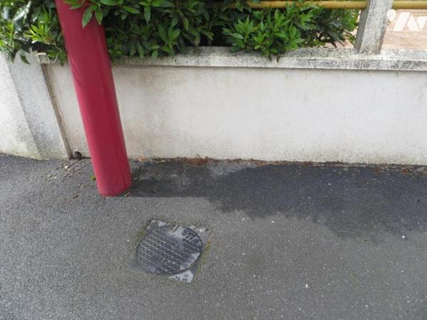 EN EXCLUSIVITE, ENTRE VIRE NORMANDIE ET TINCHEBRAY BOCAGE