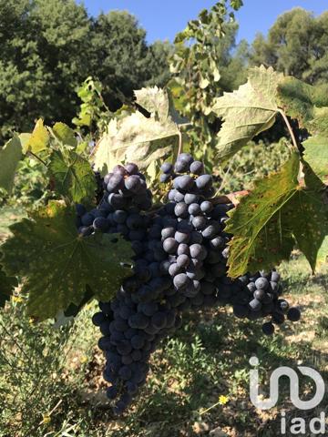 Maison traditionnelle 8 pièces de 222 m² à Le Castellet (83330)