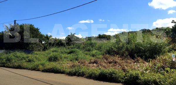 Terrain à la Petite Ile