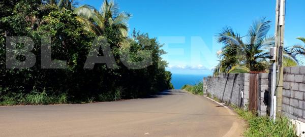 Terrain à la Petite Ile