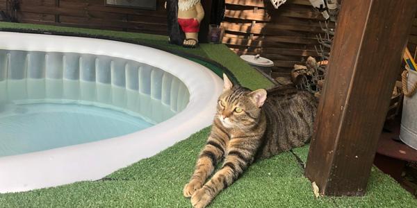 Superbe T3 64,88m² avec jardin privatif 90m² env.