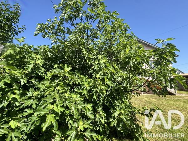Maison à vendre 3 pièces 66 m² Saint-Vallier