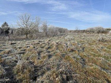 Terrain de loisirs - Bois - Etang à vendre à Sézanne dans la Marne (51120), ref : 043/1681