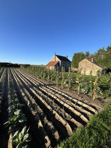 Maison à vendre |  Saint-Priest-la-Marche |  2 pièces | 50 m²