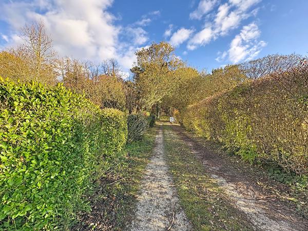 Maison 4 chambres Les Bois d'Anjou avec belle vue sur la campagne