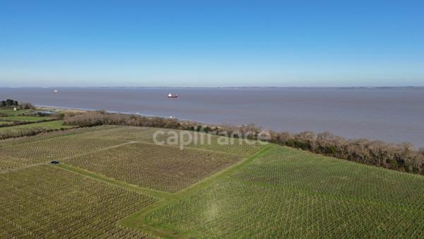 Société d’exploitation viticole – Médoc Cru Bourgeois AOC – Vin médaillé