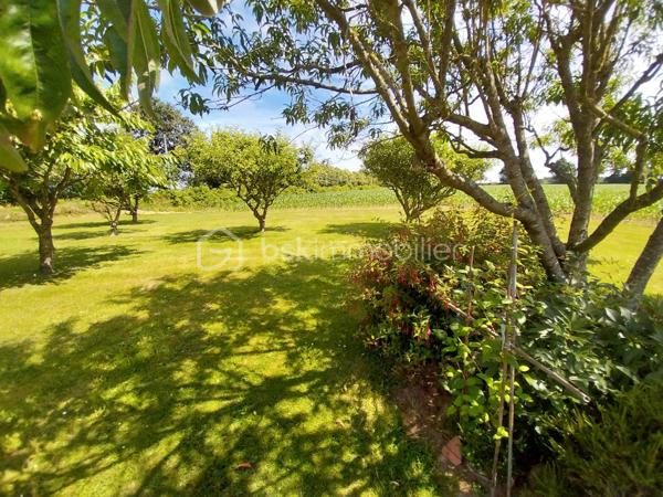 Maison de 88 m² avec 4 000 m² de terrain à 2 minutes de Gorron

Située au calme,  cette maison de 1977 est implantée sur un vaste terrain, idéal pour les propriétaires d'animaux, les amoureux de la nature ou les projets de jardinage.

Habitation principale (RDC surélevé)

* Entrée
* Cuisine
* Salle à manger / séjour

* Couloir desservant :
  * 3 chambres
  * 1 bureau
  * 1 salle d'eau
  * 1 WC indépendant

* Menuiseries PVC double vitrage / porte de garage électrique
* Chauffage électrique
* Maison en très bon état général

 Grande surface au sous sol offrant de nombreuses possibilités :
* Stockage
* Atelier
* Garage

Dépendance extérieure idéale pour :
* Matériel de jardinage
* Atelier de bricolage
* Rangement complémentaire

 Les atouts
✔ Terrain de 4 000 m²  exploitable
✔ Cadre agréable et verdoyant
✔ Idéal pour animaux, jardin, potager ou petit élevage familial
✔ Maison saine et bien entretenue
✔ Proximité immédiate de Gorron et de ses commerces

Cette belle propriété avec de beaux espaces correspond sans aucun doute aux attentes de votre famille.