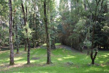 Étang à vendre à Martigné-sur-Mayenne en Mayenne (53470), ref : 53075/FC119 Étang à vendre à Martigné-sur-Mayenne en Mayenne (53470), ref : 53075/FC119 Étang à vendre à Martigné-sur-Mayenne en Mayenne (53470), ref : 53075/FC119