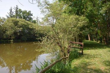 Étang à vendre à Martigné-sur-Mayenne en Mayenne (53470), ref : 53075/FC119 Étang à vendre à Martigné-sur-Mayenne en Mayenne (53470), ref : 53075/FC119 Étang à vendre à Martigné-sur-Mayenne en Mayenne (53470), ref : 53075/FC119