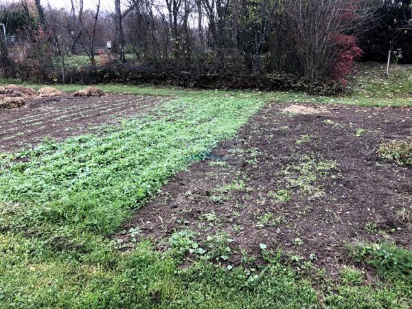 Terrain de 7 ares au calme