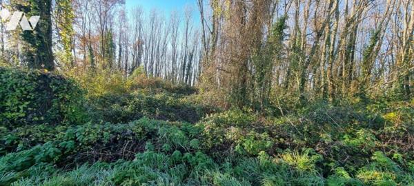 AZAY LE BRULE, parcelle de terrain