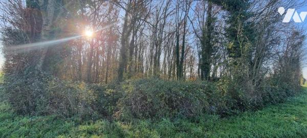 AZAY LE BRULE, parcelle de terrain