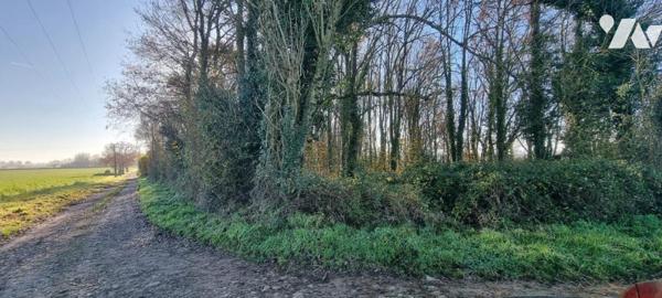 AZAY LE BRULE, parcelle de terrain