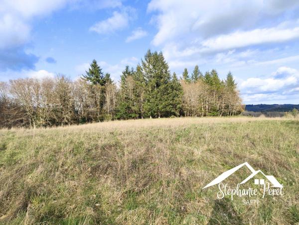 Magnifique terrain agricole / pâturage – Vue imprenable