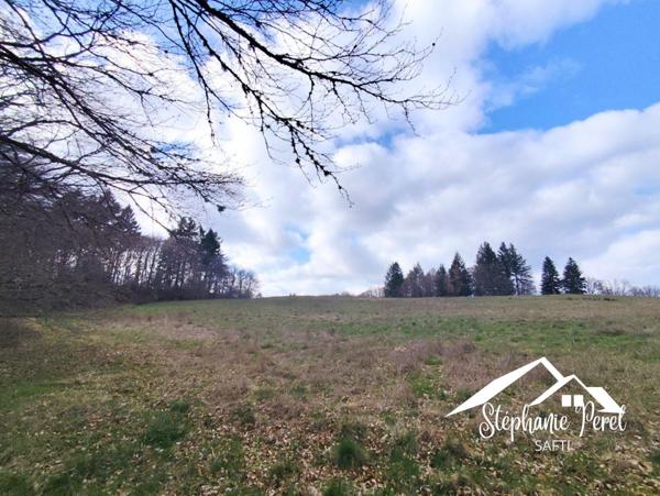 Magnifique terrain agricole / pâturage – Vue imprenable