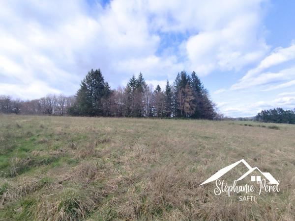 Magnifique terrain agricole / pâturage – Vue imprenable