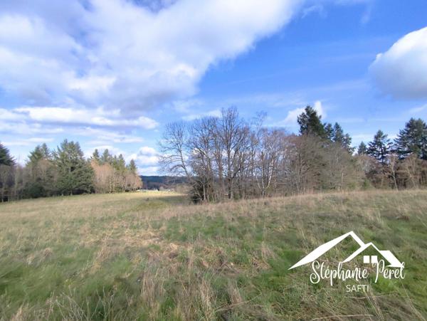 Magnifique terrain agricole / pâturage – Vue imprenable