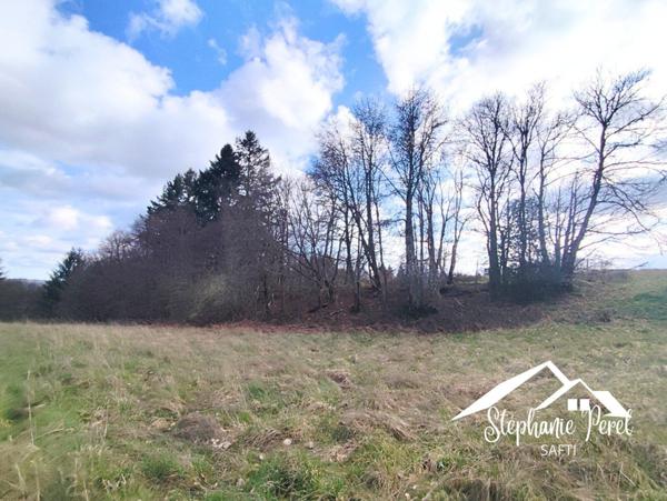 Magnifique terrain agricole / pâturage – Vue imprenable