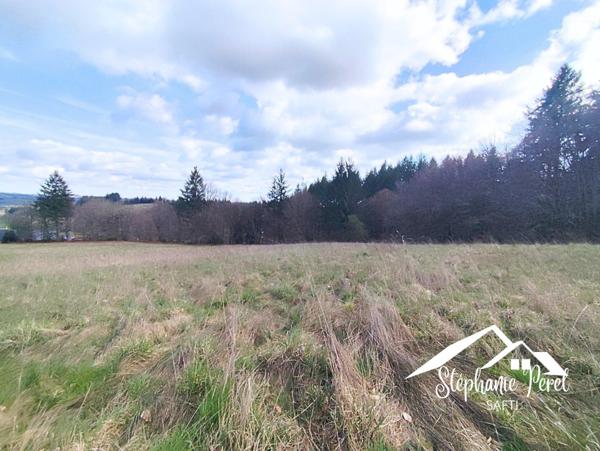 Magnifique terrain agricole / pâturage – Vue imprenable