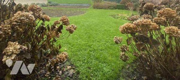 Maison ancienne à restaurer