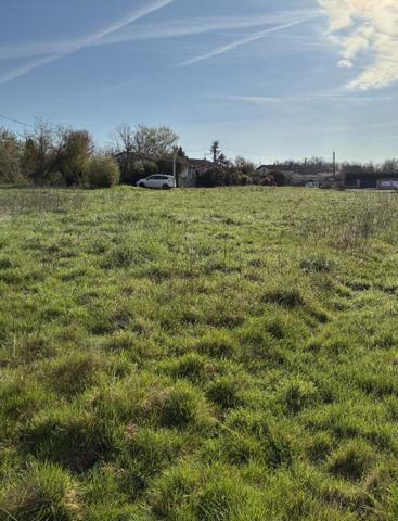 Terrain à CANALS 2000 m2